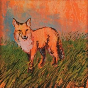 Fox