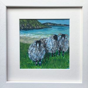 Sheep on Achill Island, Co. Mayo