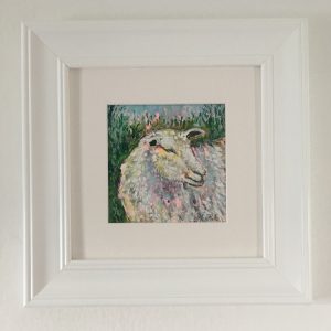 Framed Print – Sheep