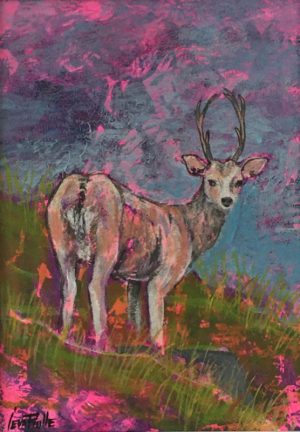 Framed Print – Wild Deer